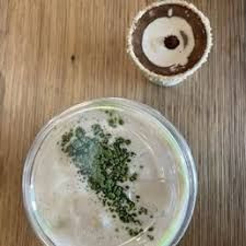Matcha from Yala